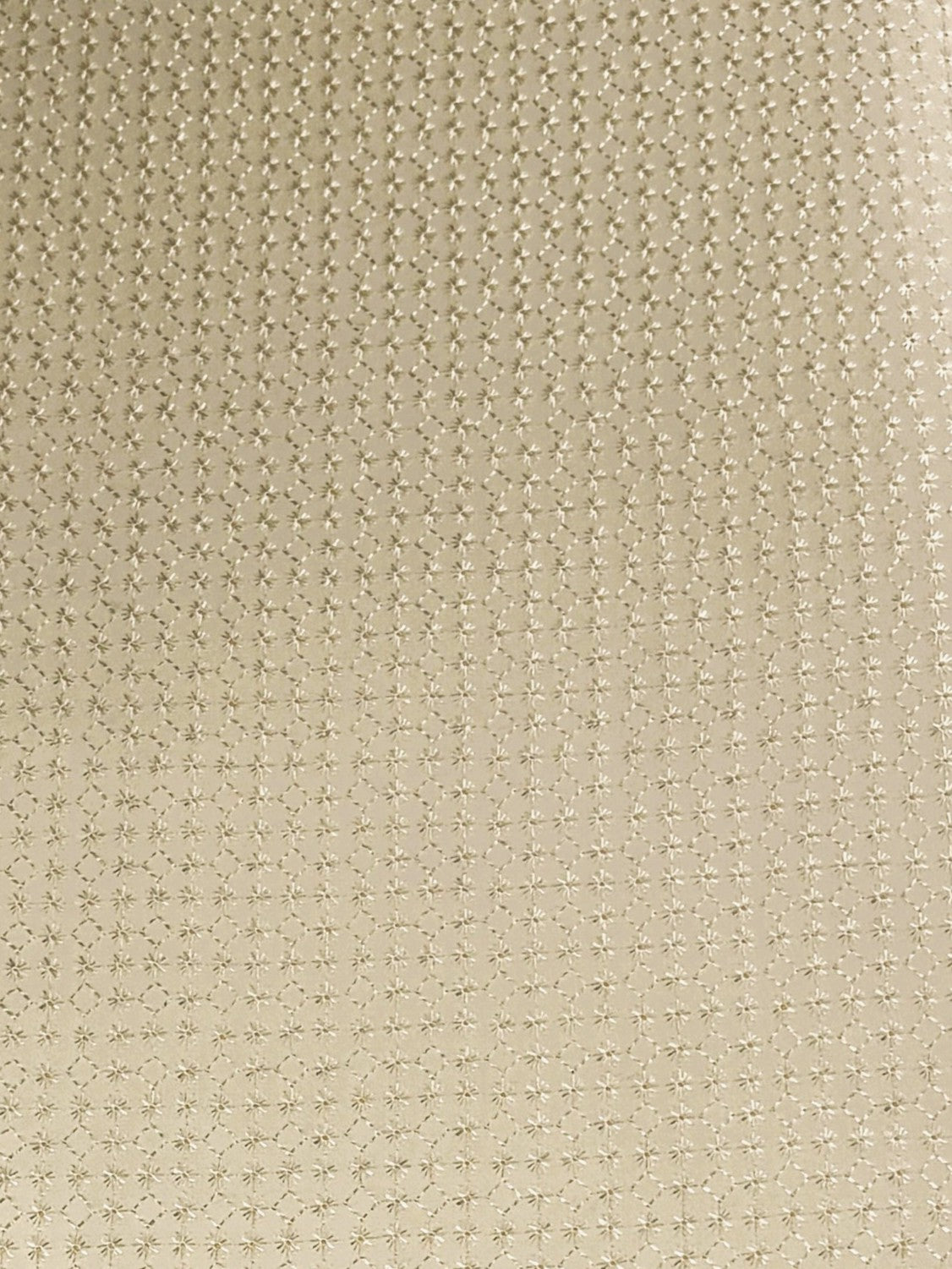 3142 Swiss Polish Cotton with Embroidery
